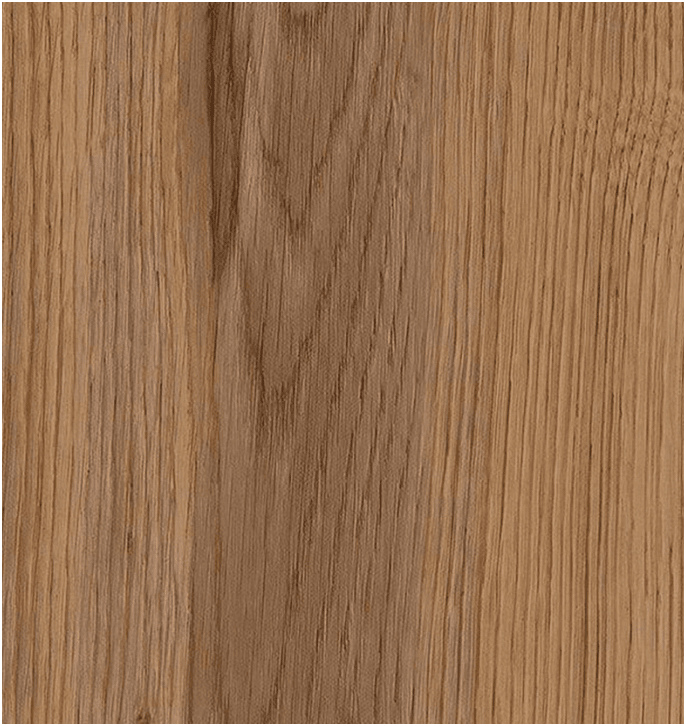 Sessile Oak